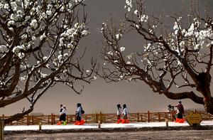 CHINA-PRIMAVERA-PAISAJE