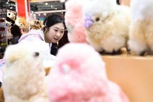 (CIIE) CHINA-SHANGHAI-CIIE-AREA DE EXPOSICION DE BIENES DE CONSUMO