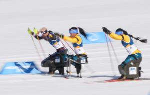 ITALIA-TESERO-JUEGOS PARALIMPICOS DE INVIERNO-PARA BIATLON-ESPRINT FEMENINO SENTADO