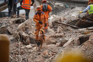COLOMBIA-CALI-SISMO-BUSQUEDA Y RESCATE