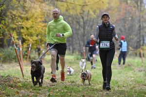 RUSIA-MOSCU-CORRE CON PERROS