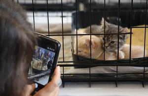 EEUU-CALIFORNIA-PASADENA-CATCON 2026