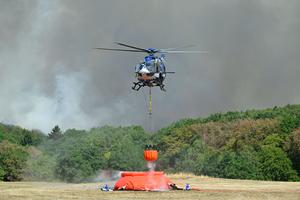 ALEMANIA-GEY-INCENDIO FORESTAL
