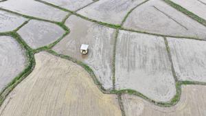 CHINA-PRIMAVERA-AGRICULTURA