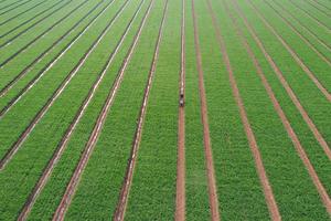 CHINA-PRIMAVERA-AGRICULTURA