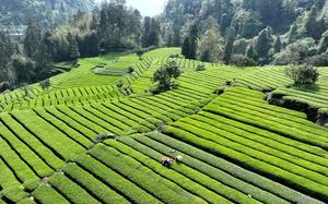 CHINA-PRIMAVERA-AGRICULTURA