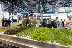 PAISES BAJOS-AMSTERDAM-EXPOSICION DE HORTICULTURA