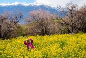 CHINA-XIZANG-COEXISTENCIA HUMANO-NATURALEZA