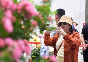CHINA-BEIJING-MENTOUGOU-ROSAS-SIMPOSIO INTERNACIONAL