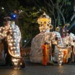 SRI LANKA-KANDY-FESTIVAL ESALA PERAHERA-PROCESION
