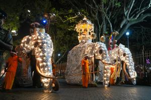 SRI LANKA-KANDY-FESTIVAL ESALA PERAHERA-PROCESION
