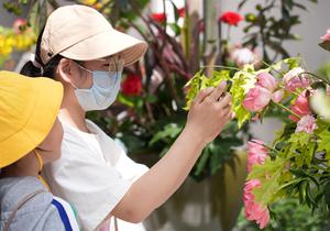 CHINA-BEIJING-MENTOUGOU-ROSAS-SIMPOSIO INTERNACIONAL