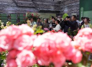 CHINA-BEIJING-MENTOUGOU-ROSAS-SIMPOSIO INTERNACIONAL