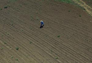 EL SALVADOR-SAN VICENTE-EL NIÑO