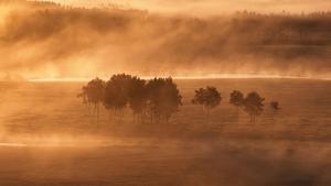 CHINA-HEILONGJIANG-RIO NANWENG-RESERVA NATURAL NACIONAL