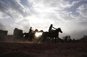 YEMEN-SANA-ECUESTRE-DIA MUNDIAL DEL CABALLO