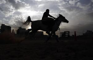 YEMEN-SANA-ECUESTRE-DIA MUNDIAL DEL CABALLO