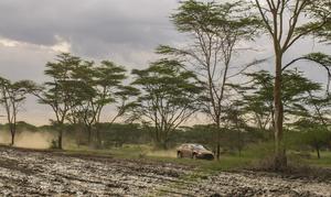 KENIA-NAIVASHA-RALLY SAFARI DE KENIA 2026 DE LA WRC-DIA 3