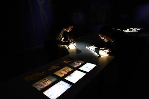 CHILE-SANTIAGO-EXPOSICION