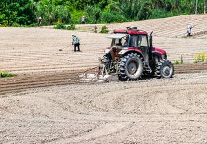 CHINA-CHONGQING-HECHUAN-PRIMAVERA-AGRICULTURA