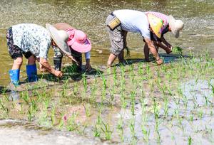 CHINA-CHONGQING-HECHUAN-PRIMAVERA-AGRICULTURA