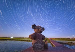 CHINA-HEILONGJIANG-CIELO ESTRELLADO-CAMPOS DE ARROZ