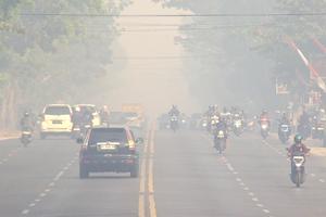 INDONESIA-PALANGKA RAYA-INCENDIO FORESTAL Y DE TURBERA-HUMO ESPESO