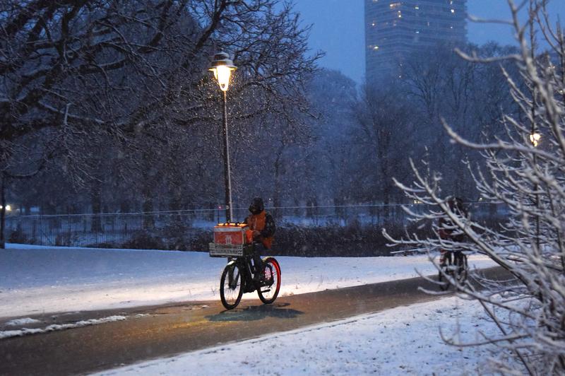 PAISES BAJOS-LA HAYA-VIDA COTIDIANA-NEVADA