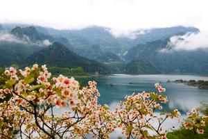 CHINA-PRIMAVERA-PAISAJE