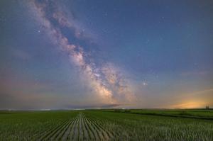 CHINA-HEILONGJIANG-CIELO ESTRELLADO-CAMPOS DE ARROZ