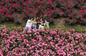 CHINA-PRIMAVERA-PAISAJE