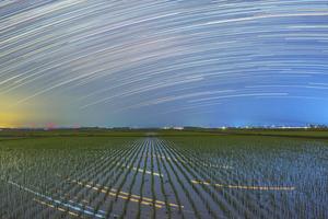 CHINA-HEILONGJIANG-CIELO ESTRELLADO-CAMPOS DE ARROZ