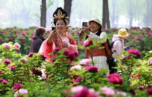 CHINA-PRIMAVERA-PAISAJE