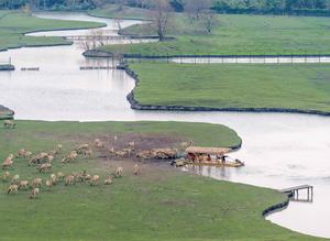 CHINA-PRIMAVERA-PAISAJE