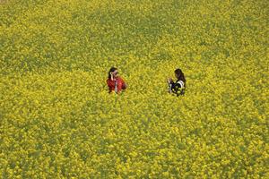 CHINA-PRIMAVERA-PAISAJE