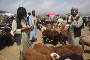 AFGANISTAN-KABUL-EID AL-ADHA