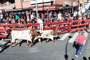 ESPAÑA-SAN SEBASTIAN DE LOS REYES-ENCIERRO DE TOROS