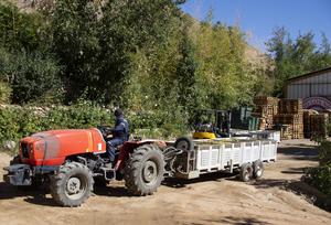 CHILE-COQUIMBO-PISCO-VENDIMIA