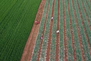 CHINA-GUYU-AGRICULTURA