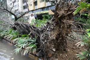 PAKISTAN-KARACHI-LLUVIAS-SECUELAS