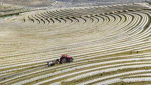 CHINA-GUYU-AGRICULTURA