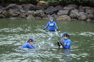 BRASIL-PARANA-PROYECTO DE CONSERVACION DE LA BIODIVERSIDAD
