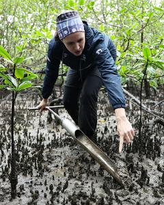 BRASIL-PARANA-PROYECTO DE CONSERVACION DE LA BIODIVERSIDAD