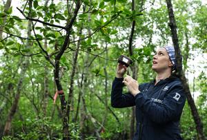 BRASIL-PARANA-PROYECTO DE CONSERVACION DE LA BIODIVERSIDAD