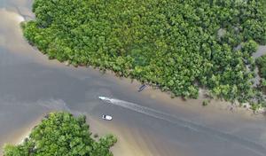 BRASIL-PARANA-PROYECTO DE CONSERVACION DE LA BIODIVERSIDAD
