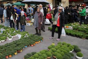 IRAN-TEHERAN-NOWRUZ-PREPARATIVOS