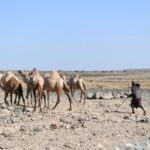KENIA-CONDADO DE MARSABIT-MEDIO AMBIENTE