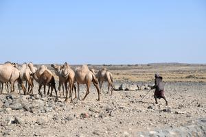 KENIA-CONDADO DE MARSABIT-MEDIO AMBIENTE