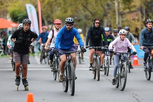 CHILE-SANTIAGO-DOMINGO SIN AUTOMOVILES