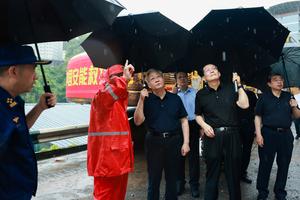 CHINA-CHONGQING-ZHANG GUOQING-DESLIZAMIENTO DE TIERRA-TRABAJOS DE RESPUESTA DE EMERGENCIA